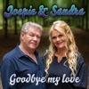 Goodbye My Love - Single