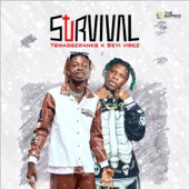 Survival (feat. Seyi Vibez) artwork