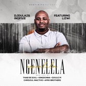 Ngenelela (feat. Lizwi) [Afro Brotherz Remix] artwork