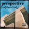 Perspective (feat. Broken Land Beats) - Prime Son lyrics