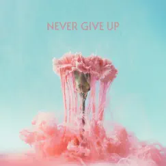 Never Give Up - Single by Jeffrey James & LÒNIS album reviews, ratings, credits