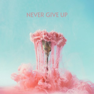 Jeffrey James & LÒNIS - Never Give Up - 排舞 音樂