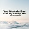Yad Mustafa Bas Gai Hy Seeny Me - Nazir Ejaz Faridi Qawwal lyrics