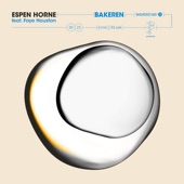 Bakeren (feat. Faye Houston) - Single