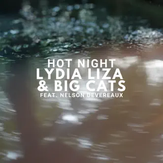 Hot Night (feat. Nelson Devereaux) by Lydia Liza & Big Cats song reviws