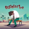 Usiniache - Single