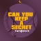 Can You Keep a Secret artwork