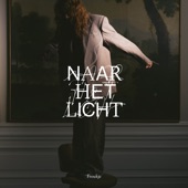 Naar Het Licht artwork