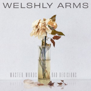 Welshly Arms - Dangerous - Line Dance Musik