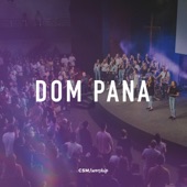 Dom Pana artwork