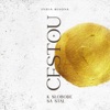 Cestou K Slobode Sa Stal - Single