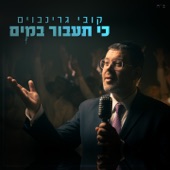 כי תעבור במים artwork