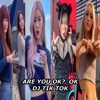 DJ Tik Tok - Are You Ok? Ok