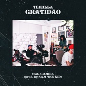 Gratidão (feat. Camila Masiso) artwork