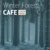 Winter Forest Cafe BGM album lyrics, reviews, download