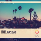 Moon Over Miami artwork
