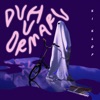 Duh u ormaru - Single