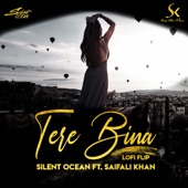 Tere Bina Lofi Flip (feat. Saif Ali Khan) artwork