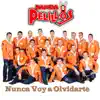 Nunca Voy a Olvidarte - Single album lyrics, reviews, download