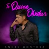 Te Quise Olvidar - Single