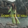 Dobro Ste Se Krili - Single