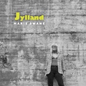 Jylland (Radio Edit) artwork