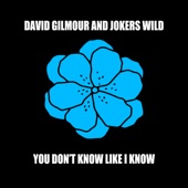 You Don't Know Like I Know (feat. Joker's Wild) artwork