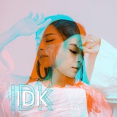 IDK artwork
