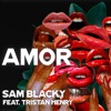 Amor (feat. Tristan Henry) - Single