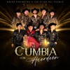 Mi Cumbia Con Acordeón - Single