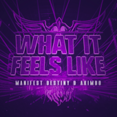 What It Feels Like (Extended Mix) - Manifest Destiny & Akimbo