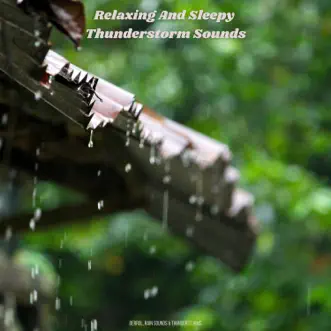 Relaxing and Sleepy Thunderstorm Sounds by Derrol, Rain Sounds & Thunderstorms album reviews, ratings, credits