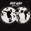 Bird Walk song lyrics