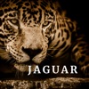 Jaguar - La Chica del Este