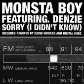 Monsta Boy - Sorry (I Didn't Know) (Original Radio Edit)