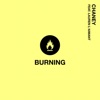 Burning (feat. Lauren L'aimant) - Single