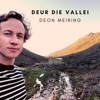 Deur Die Vallei - Single
