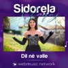 Dil Ne Valle - Single