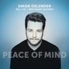 Peace of Mind (feat. Wolfgang Haffner & Will Lee)