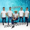 Corazón Lastimado - Single