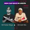 Stream & download Mega pro Baile do Arieão (feat. Mc Rd) - Single