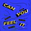 Can You Feel It (feat. James Hurr) [VIP Mix] - Single album lyrics, reviews, download