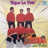 Sigue La Vida