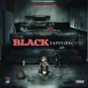 Stream & download The Black Experience