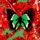 Ed Sheeran-2step Ed Sheeran-2step