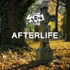 Afterlife - Single