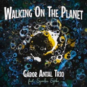 Walking on the Planet (Alternative Version) artwork