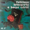 Feliciano Interpreta a Harpa Cristã, Vol. 07