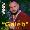 Galeb (Cover) - Single