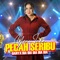 Pecah Seribu artwork